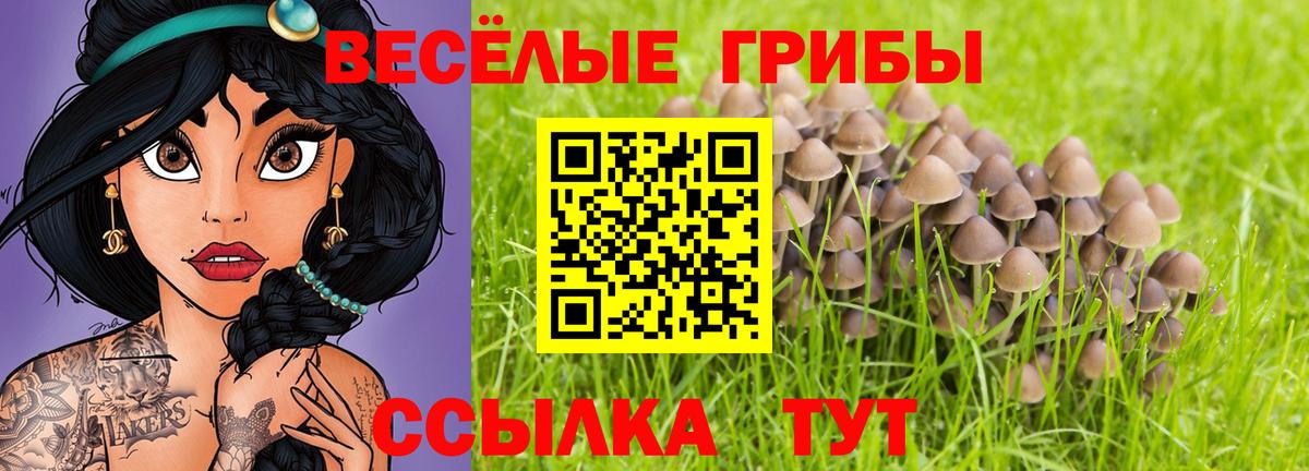 Псилоцибиновые грибы MAGIC MUSHROOMS  Псилоцибиновые грибы мицелий  Вход с VPN  Казань 