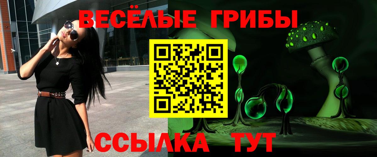 Галлюциногенные грибы мицелий Казань